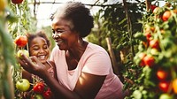 close up photo of African American grandmother and granddaughter picking up fresh tomatoes in the greenhouse. 