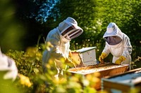 Beekeeper apiary farm. 