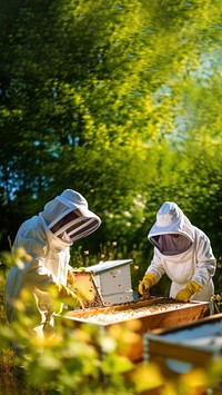 Beekeeper apiary farm. 