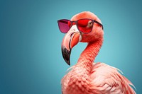 Photo of a flamingo wearing sunglasses, isolated on pastel background. 