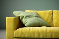 Living room furniture cushion pillow.