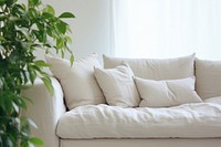 Living room furniture cushion pillow. 