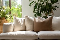 Living room furniture cushion pillow. 