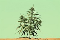 Cannabis plant tranquility medicine. AI generated Image by rawpixel.