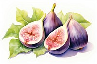 Arabic figs fruit plant food. 