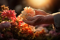 Elderly hand flower outdoors nature. 