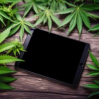 Tablet plant cannabis leaf. AI generated Image by rawpixel.