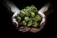 Cannabis hand medicine cannabis. AI generated Image by rawpixel.