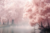 Enchanted Forest landscape outdoors blossom. AI generated Image by rawpixel.