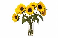 Sunflowers vase plant white background. AI generated Image by rawpixel.