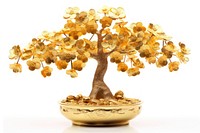 Lunar new year tree bonsai plant. 