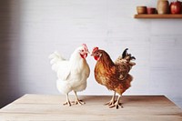 Chicken hen rooster, design resource. AI generated Image by rawpixel