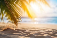 Tropical summer sand beach outdoors horizon nature. 