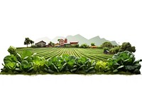 Vegetable farm agriculture outdoors nature. AI generated Image by rawpixel.