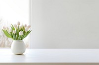 Empty tabletop windowsill flower plant. 