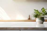 Empty countertops windowsill kitchen plant. 