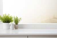 Empty countertops windowsill plant white. 