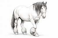 Clydesdale horse drawing mammal animal. AI generated Image by rawpixel.