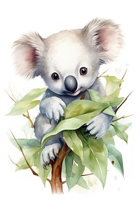 Baby cute Koala koala drawing mammal. 