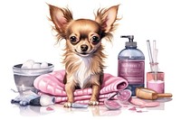 Chihuahua beauty salon character individual chihuahua animal mammal. AI generated Image by rawpixel.