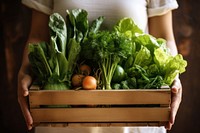 Woman holding wooden box basket vegetable plant food. 