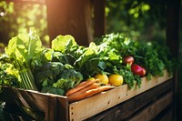 Vegetable organic plant crate. 