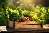 Vegetable organic crate food. 