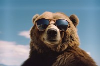 Bear wearing cool sunglasses mammal animal accessories. AI generated Image by rawpixel.