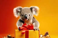 Koala bear christmas wildlife. 