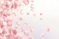 Delicate pastel pink rose petals scattered falling across a white background backgrounds flower celebration. AI generated Image by rawpixel.