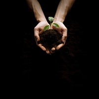 Little tree planting holding soil. 