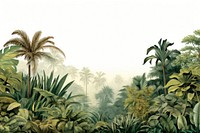 Deep tropical jungles vegetation outdoors tropics