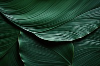Dark embossed green leaves photo. AI generated image by rawpixel.