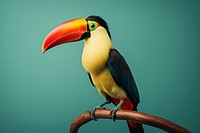 Tucan wildlife toucan animal. AI generated Image by rawpixel.