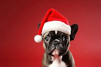 Dog christmas bulldog mammal. AI generated Image by rawpixel.