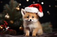 Christmas mammal animal puppy. 