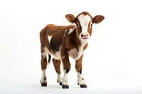 Baby cow livestock mammal animal. AI generated Image by rawpixel.