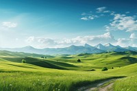 Beautiful landscape nature grassland panoramic. 