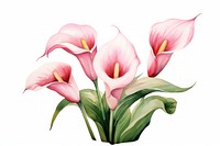 Flower petal plant lily. AI generated Image by rawpixel.