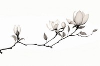 A silhouette magnolia flower blossom drawing. AI generated Image by rawpixel.
