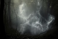 Forbidden forest outdoors woodland nature. AI generated Image by rawpixel.