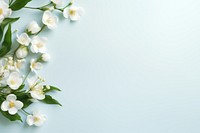 White jasmine flowers with green leaves on a light blue background. Jasmine flowers are arranged on the left, creating a serene and elegant floral composition.