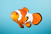 Clownfish animal pomacentridae underwater. AI generated Image by rawpixel.