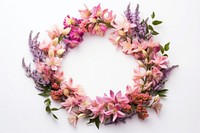 Flower wreath plant white background inflorescence. 