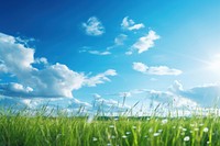 Grass meadow sky landscape outdoors. 