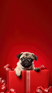 Photo of a puppy in a huge christmas gift box.  