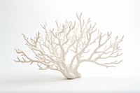 Staghorn coral plant tree white background. AI generated Image by rawpixel.