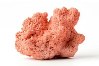 Stoney coral dessert food white background. AI generated Image by rawpixel.