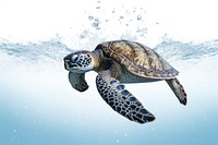 Sea turtle swimming reptile animal. AI generated Image by rawpixel.