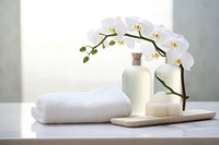 Flower orchid towel plant. AI generated Image by rawpixel.